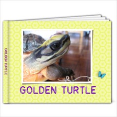 Golden Turtle - 7x5 Photo Book (20 pages)