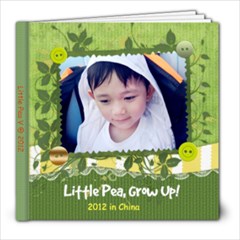 pea2012 - 8x8 Photo Book (20 pages)