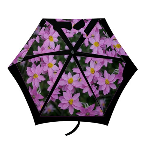 Mini Folding Umbrella 