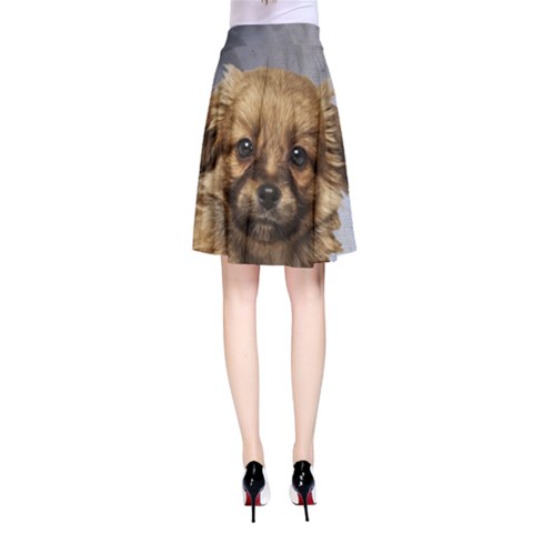 A-Line Skirt 