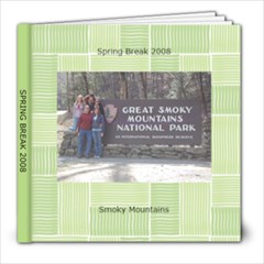 spring break - 8x8 Photo Book (20 pages)
