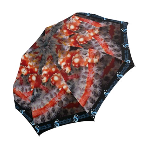 Folding Umbrella 