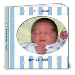 CJ Birth - Age 3 - 8x8 Photo Book (20 pages)