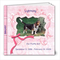 In Memory of Lightning  - 8x8 Photo Book (20 pages)