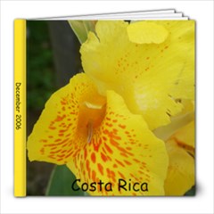 costa rica - 8x8 Photo Book (20 pages)