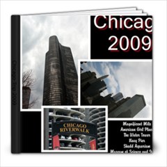 Chicago Trip - 8x8 Photo Book (20 pages)