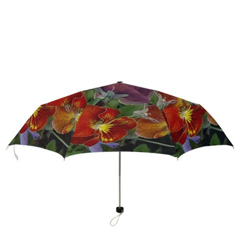 Folding Umbrella 