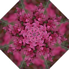 pink apple blossom umbrella - Folding Umbrella