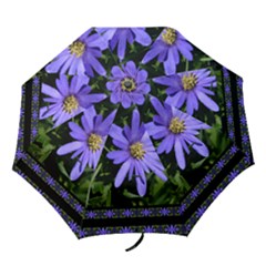 windflower border  umbrella - Folding Umbrella