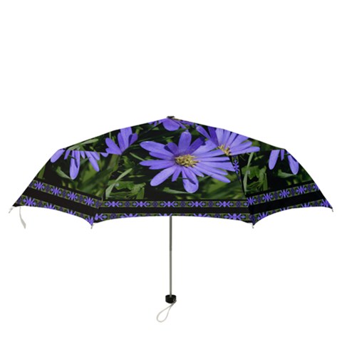 Folding Umbrella 