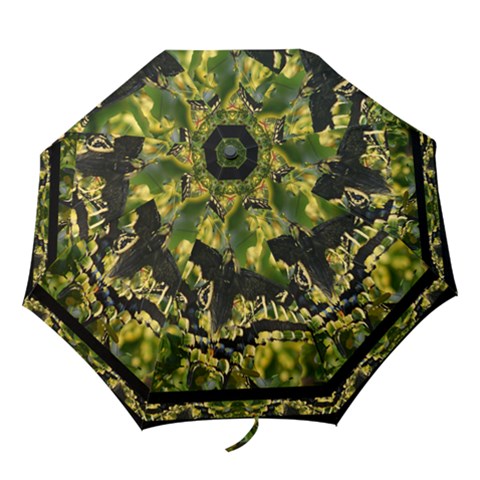 Folding Umbrella 