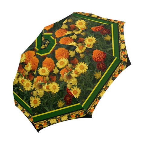 Folding Umbrella 