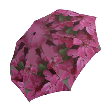 Folding Umbrella 