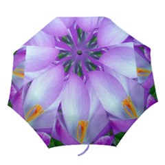 Crocus Umbrella - Folding Umbrella