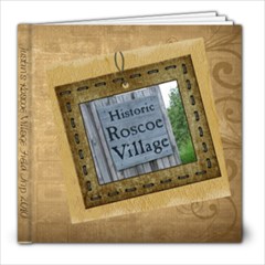 Roscoe Village 2010 - 8x8 Photo Book (30 pages)