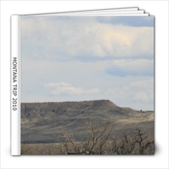 mt 2010 - 8x8 Photo Book (20 pages)