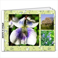 spring in illinois - 9x7 Photo Book (20 pages)