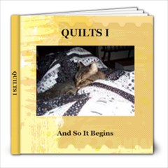 Quilts I - 8x8 Photo Book (20 pages)