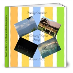 gatlinburg - 8x8 Photo Book (20 pages)