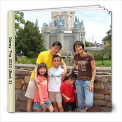Disney 2010 (Book 2) - 8x8 Photo Book (39 pages)