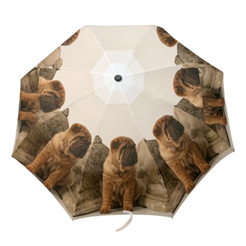 Folding Umbrella 