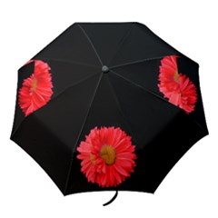 Red paintd daisy umbrella - Folding Umbrella