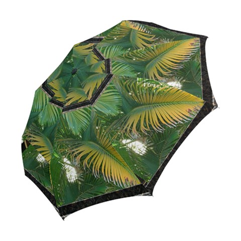 Folding Umbrella 