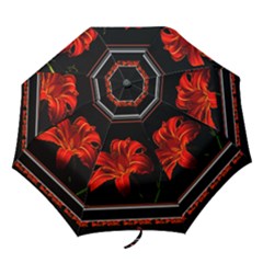 Tiger Lily Border folding umbrella