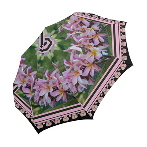 Folding Umbrella 