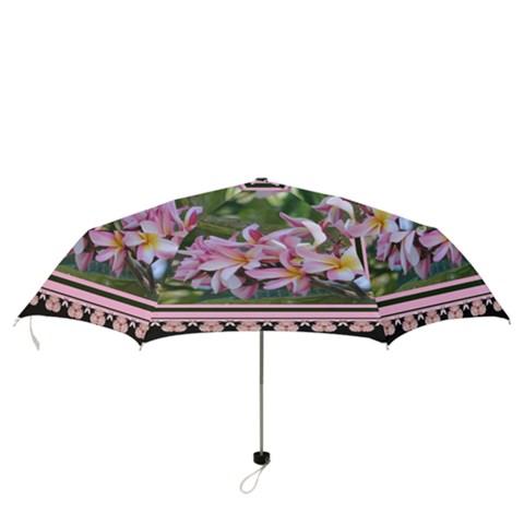 Folding Umbrella 