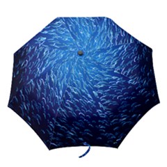 Sardine Umbrella - Folding Umbrella