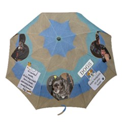 ann s umbrella - Folding Umbrella