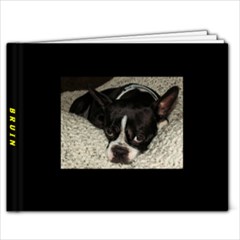 Bruin - 9x7 Photo Book (20 pages)