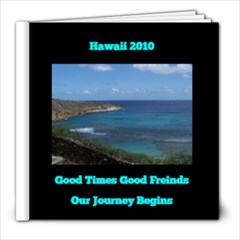 Hawaii 2010 Freinds - 8x8 Photo Book (39 pages)