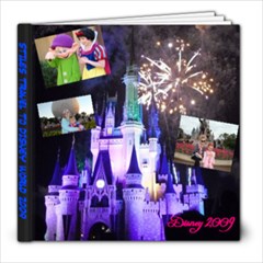Disney World 2009  - 8x8 Photo Book (39 pages)