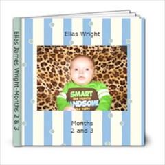 Elias-Months 2 & 3 - 6x6 Photo Book (20 pages)