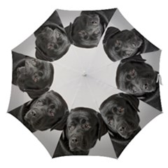 lab - Straight Umbrella