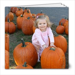 Fall 2010 Photo Book - 8x8 Photo Book (20 pages)