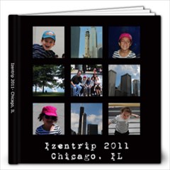 Chicago 2011 - 12x12 Photo Book (20 pages)