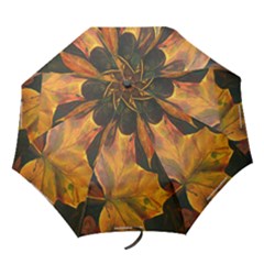 autumn leaves umbrella - Folding Umbrella