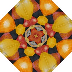 silk lantern umbrella - Folding Umbrella