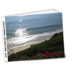 NANCY S BOOK - 7x5 Deluxe Photo Book (20 pages)