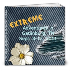 Gatlinburg 2011 - 8x8 Photo Book (20 pages)