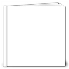 Mom Book 2 - 12x12 Photo Book (20 pages)