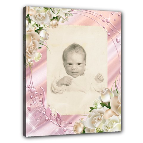 Baby t - Canvas 20  x 16  (Stretched)