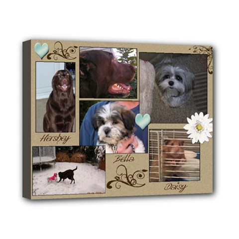 our pets - Canvas 10  x 8  (Stretched)