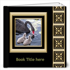 Black and Gold 12x12 Book (20 Pages) - 12x12 Photo Book (20 pages)