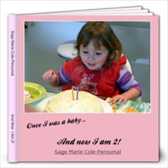 2012 Sage s 2nd Birthday Book - 12x12 Photo Book (20 pages)