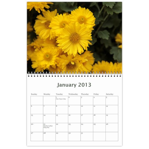 Chrysanthemum By Photo Jan 2013