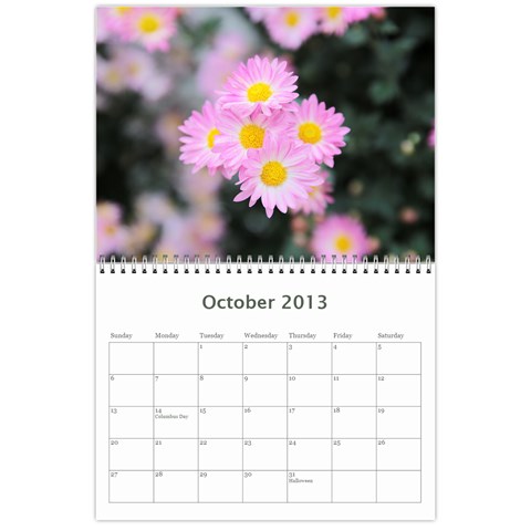 Chrysanthemum By Photo Oct 2013